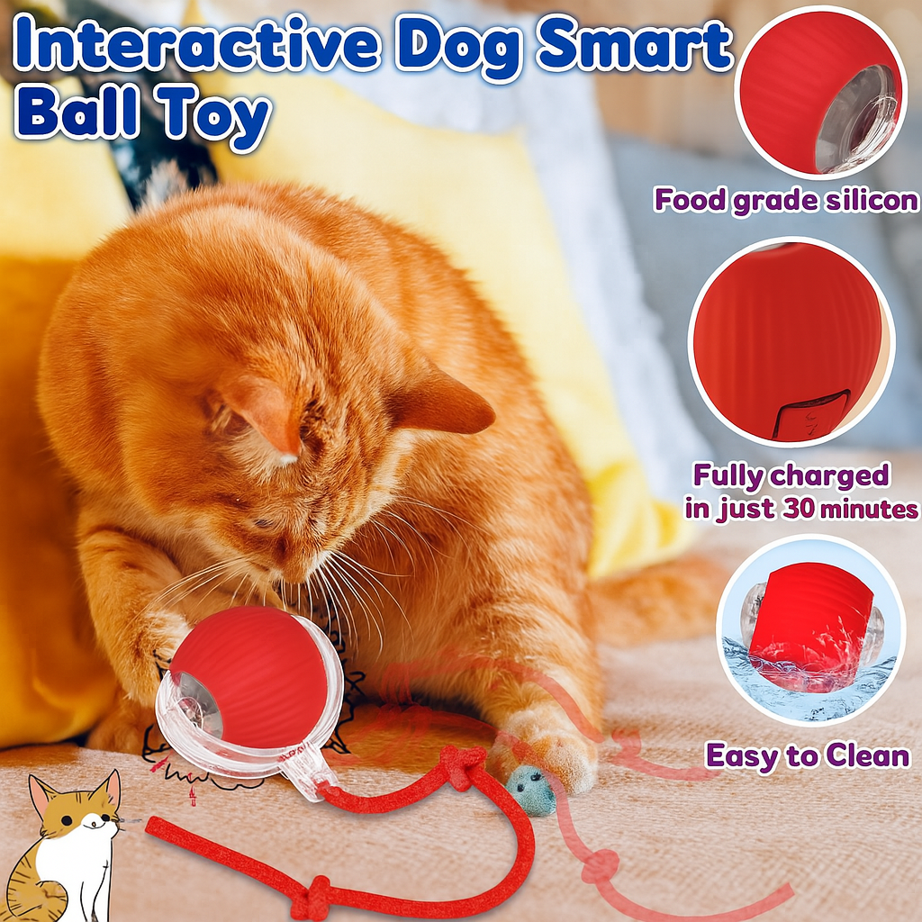 🎾 GlowRoll™ – The Ultimate USB Pet Play Ball