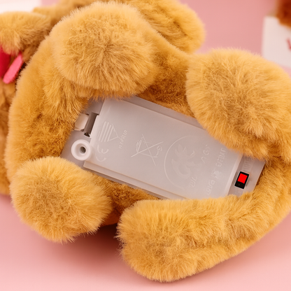 🌈  Where Fun Meets Friendship – The Perfect Cuddle Buddy for Your Little One🐾